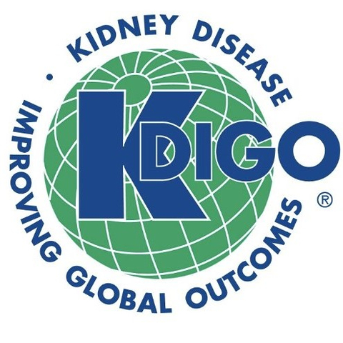 Kidney Disease: Improving Global Outcomes
